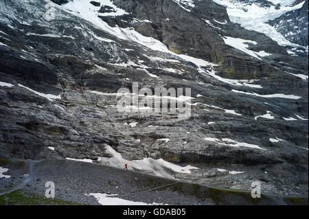 La Suisse. Oberland Bernois. 016 Juillet à pied de moraine glaciaire le long Eigergletscher à Wengen dans les Alpes Suisses Banque D'Images