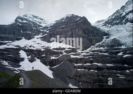 La Suisse. Oberland Bernois. 016 Juillet à pied de moraine glaciaire le long Eigergletscher à Wengen dans les Alpes Suisses Banque D'Images