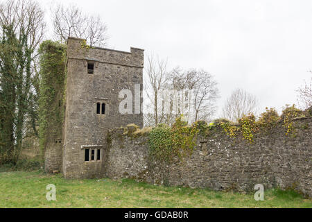 L'Irlande, Offaly, Clonmacnoise, gardant les ruines du monastère de Clonmacnoise Clonmacnoise, est une ruine monastique unique dans le comté d'Offaly sur la rivière Shannon Banque D'Images