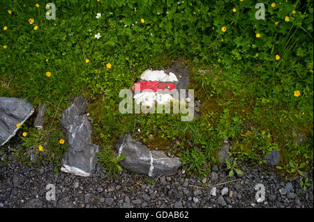 La Suisse. Oberland Bernois. Juillet 2016 Balade dans les Alpes Suisses au-dessus de Murren descendant d'Allmendhubel Banque D'Images