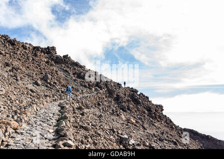 L'Espagne, Iles Canaries, Tenerife, randonnée sur la Picp del Teide. Le Pico del Teide (Teyde) est à 3718 m de l'altitude la plus élevée sur l'île des Canaries Banque D'Images