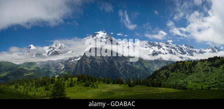 La Suisse. Oberland Bernois. Juillet 2016 Balade dans les Alpes Suisses au-dessus de Murren descendant d'Allmendhubel Banque D'Images