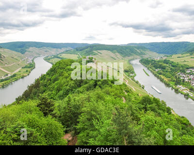 Allemagne, Rhénanie-Palatinat, Zell (Moselle), sur la Moselle chemin escarpé, paysage sur la Moselle de la tour sur la tête du prince Banque D'Images