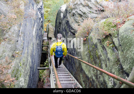 L'Allemagne, la Saxe, la Suisse Saxonne, randonnée de Wehlen sur l'Rauensteine Rauensteine, escaliers, descente, Gratweg Banque D'Images