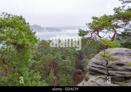 L'Allemagne, la Saxe, la Suisse Saxonne, vue sur les forêts du sommet, vue de la Bastei, randonnées sur le Rauensteine Banque D'Images