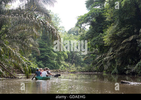 Costa Rica, Limón, Tortuguero, Parc National de Tortuguero, le voyage en bateau dans les cours d'eau de la Parc National de Tortuguero Banque D'Images