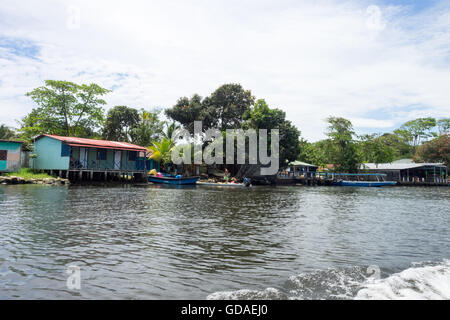 Costa Rica, Limón, Tortuguero, Parc National de Tortuguero, vue de Tortuguero à partir de l'eau Banque D'Images