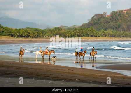 Costa Rica, Guanacaste, Samara, Playa Buenavista, l'équitation sur la plage Banque D'Images