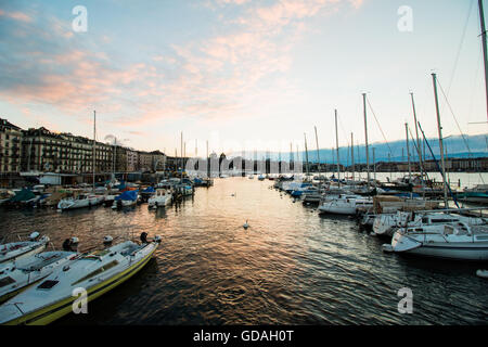 Belle vue depuis la jetée des Eaux-Vives à Genève, Suisse. surplombe le port de plaisance avec les bateaux au repos. Photo a été prise un Banque D'Images