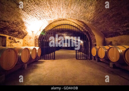 Cave avec cave à vin édition spéciale en attente de barils pendant quelques années jusqu'à ce qu'il est prêt au Château la Nerthe. Banque D'Images