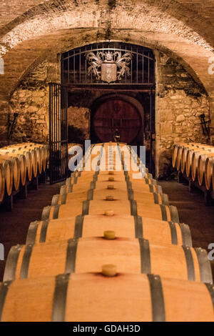 Cave avec cave à vin édition spéciale en attente de barils pendant quelques années jusqu'à ce qu'il est prêt au Château la Nerthe. Banque D'Images