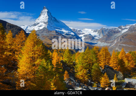 Matterhorn et mélèzes,Valais,Suisse Banque D'Images
