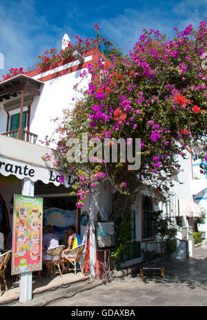 Gran Canaria, îles Canaries, Espagne, Europe,Mogan Puerto de Mogan,fleurs,façade,vacances,bougainvilliers,tourisme,, Banque D'Images