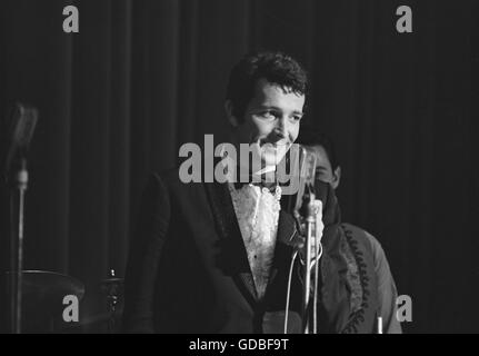 Herb Alpert et le Tijuana Brass Banque D'Images