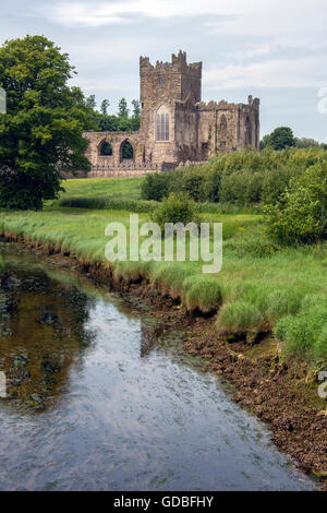 Abbaye de Tintern - les ruines d'une abbaye cistercienne située sur la péninsule de Hook, comté de Wexford, Irlande. Banque D'Images