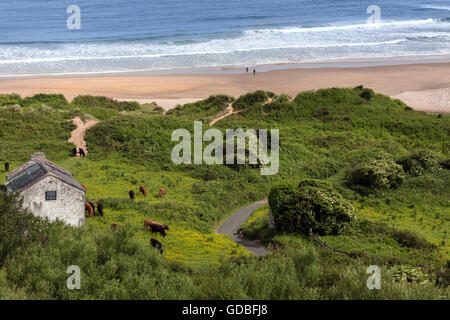 White Park Bay près de Ballycastle, comté d'Antrim, sur la côte nord de l'Irlande du Nord. Banque D'Images