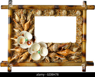 Photoframework cockleshells de mer sur fond blanc Banque D'Images