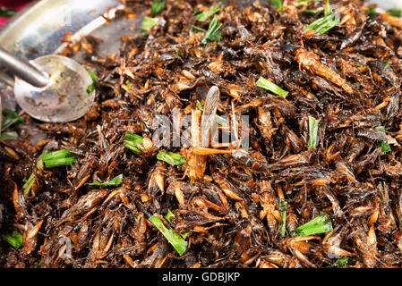 Des stands de nourriture et de restaurants vendant des insectes, Bangkok, Thaïlande. Banque D'Images