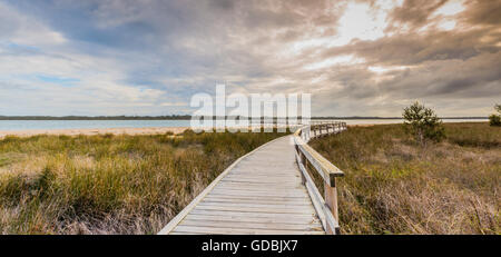 Lake Clifton's thrombolites sont très fragiles, donc une passerelle d'observation a été construit pour les visiteurs de profiter de ces incroyables fo Banque D'Images