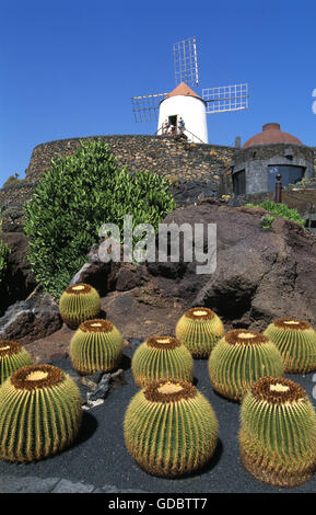 Jardin de cactus, Lanzarote, îles Canaries, Espagne Banque D'Images