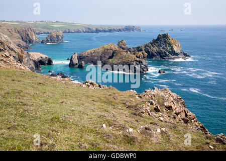 Paysage côtier, près de Kynance Cove, péninsule du Lézard, Cornwall, England, UK - Gull Rock et de l'Évêque Banque D'Images