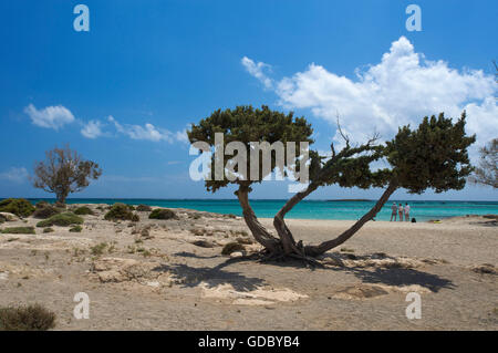 Plage d'Elafonissi, Côte Sud, Crète, Grèce Banque D'Images