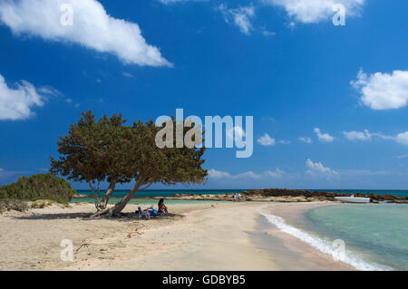 Plage d'Elafonissi, Côte Sud, Crète, Grèce Banque D'Images