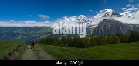 La Suisse. Oberland Bernois. Juillet 2016 Balade dans les Alpes Suisses au-dessus de Murren descendant d'Allmendhubel Banque D'Images