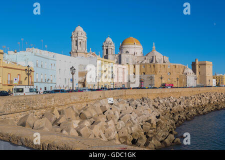 Cadix, Costa de la Luz, Province de Cadiz, Andalousie, Espagne du sud. La cathédrale de Santa Cruz Baroque-Rococo de Cadiz. Banque D'Images