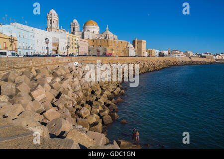 Cadix, Costa de la Luz, Province de Cadiz, Andalousie, Espagne du sud. La cathédrale de Santa Cruz Baroque-Rococo de Cadiz. Banque D'Images