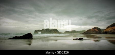 Wharariki beach,Wharariki, Nouvelle-Zélande, île du sud,plage,pluie,mer,rock,falaise,trous,storm,Golden,Cape Farewell Ba Banque D'Images