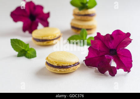 Fleur jaune et gâteaux macaron à la menthe. Banque D'Images