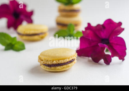 Fleur jaune et gâteaux macaron à la menthe. Banque D'Images
