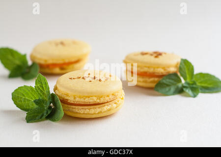 Fleur jaune et gâteaux macaron à la menthe. Banque D'Images