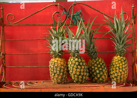 Kauai,fruits,stand,Hanalei Kauai,USA,New York,Nord,mer,ananas, Banque D'Images