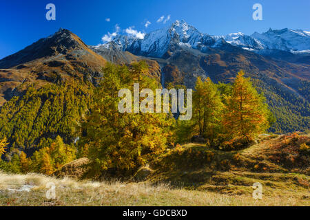 Grande Dent de Veisivi,Dent de Perroc,Aiguille de la TSA,Valais,Suisse Banque D'Images