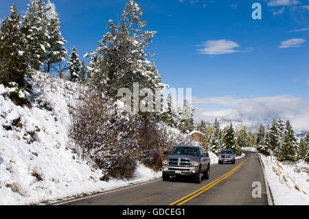 La route, le Parc National de Yellowstone, Wyoming, USA Banque D'Images