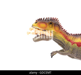 Close up on Giganotosaurus attraper un petit jouet dinosaure sur fond blanc Banque D'Images