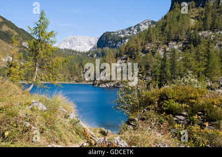 Lahngangsee Lac Vorderer, Totes Gebirge mountains, Styrie, Autriche, Europe Banque D'Images