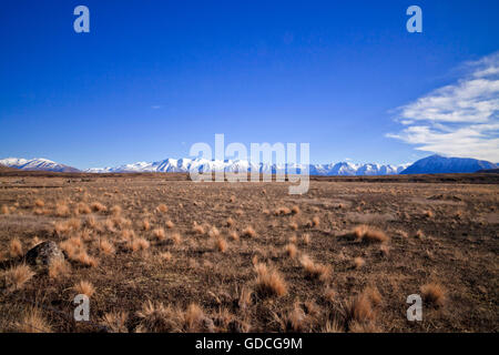 Paysage paysage de l'île du Sud, Canterbury, Nouvelle-Zélande Banque D'Images