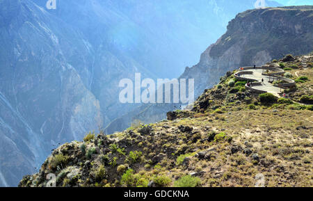 COLCA, PÉROU - Juin 09, 2016 : Colca Canyon dans le sud du Pérou. Avec une profondeur de 3 270 m. c'est l'un des plus profond du monde. À partir de Banque D'Images