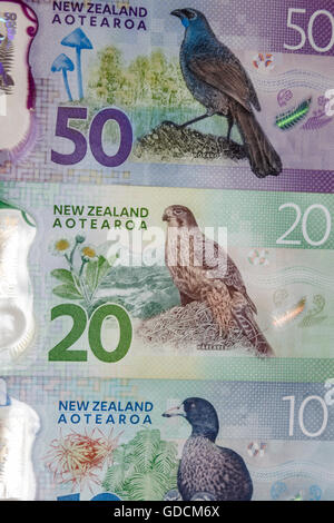 La nouvelle deuxième génération de polymère plastique New Zealand $50 $10 $20 billets dollar kiwi,verso Banque D'Images