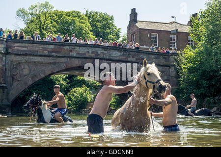 Lave-chevaux dans la rivière sur une chaude journée d'été à Appleby Horse Fair, Appleby Banque D'Images