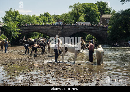 Lave-chevaux dans la rivière à Appleby Horse Fair à Cumbria Banque D'Images