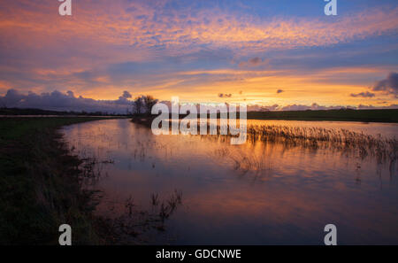 Superbe lever de soleil sur vallée de la Brede, East Sussex, prises en hiver. Beaucoup de couleurs dans ce somptueux coup tôt le matin. Banque D'Images