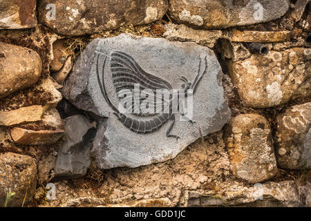 Sculptures éphémères sur panneaux de pierre qui ont été travaillé en murs de pierres sèches le long de la région de Teesdale près de chutes d'eau à faible force Banque D'Images