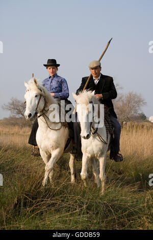 Cheval de Camargue, avec gardien, en marche sur les zones humides, les Saintes Maries de la mer, Camargue, France Banque D'Images