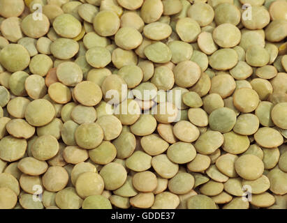 Les lentilles français appelé Saint Flour lentilles blondes, Lens esculenta Banque D'Images