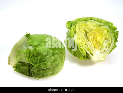 Salade Iceberg, Lactuca sativa, feuilles contre fond blanc Banque D'Images