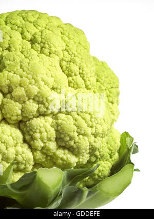 Chou-fleur vert CONTRE FOND BLANC Banque D'Images